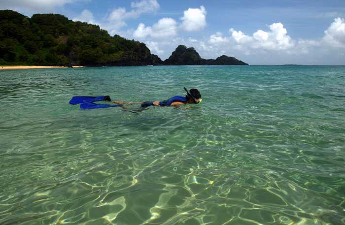 Diving at a crystalline sea beach in Fernando de Noronha,Brazil