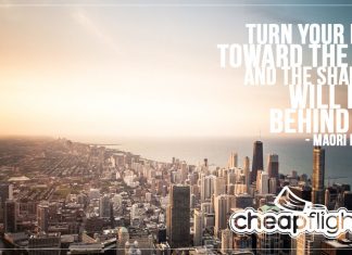 Turn Your Face Toward The Sun And The Shadows Will Fall Behind You Turn Your Face Towards The Sun